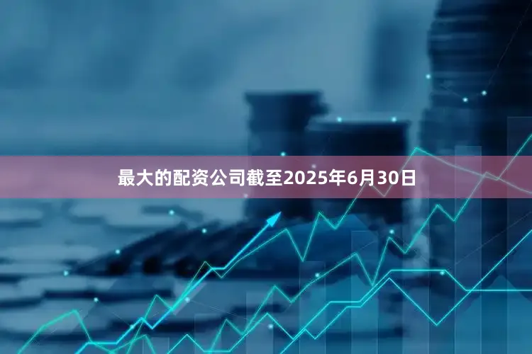 最大的配资公司截至2025年6月30日